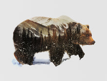 Load image into Gallery viewer, Grizzly Bear