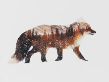Load image into Gallery viewer, Arctic Red Fox