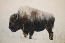 Load image into Gallery viewer, Bison in a field