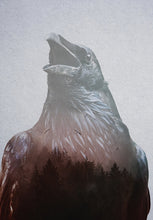 Load image into Gallery viewer, Corvus