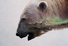 Load image into Gallery viewer, Polar Bear Head