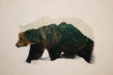 Load image into Gallery viewer, Brown Bear