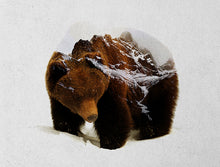 Load image into Gallery viewer, Bear In The Mountains