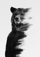 Load image into Gallery viewer, Bear In The Forest