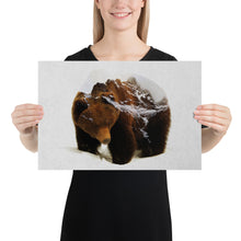 Load image into Gallery viewer, Bear In The Mountains