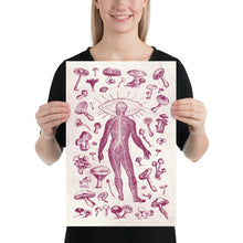 Load image into Gallery viewer, Mushrooms