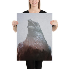 Load image into Gallery viewer, Corvus