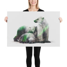 Load image into Gallery viewer, Polar Bears