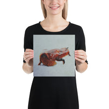 Load image into Gallery viewer, Fox