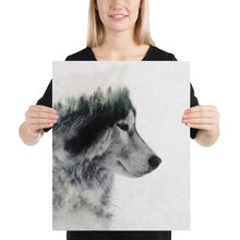 Load image into Gallery viewer, Wolf Stare