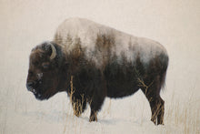 Load image into Gallery viewer, Bison in a field
