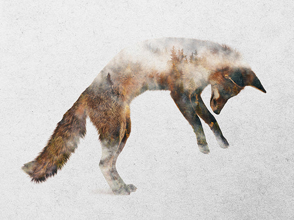 Jumping Fox