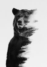 Load image into Gallery viewer, Bear In The Forest
