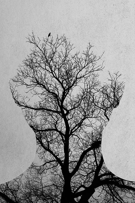 Tree of Life